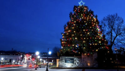 Large tree with lights on the corner of Alumni Mall and Main Street