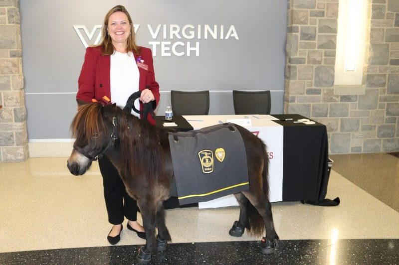 Photo of Lynsay Belshe with Ringo the police pony